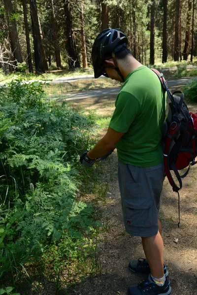 DSC_2380 (Large).JPG